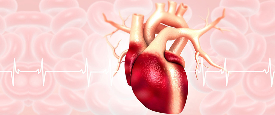 Best Cardiology Hospital in Ghatkopar
