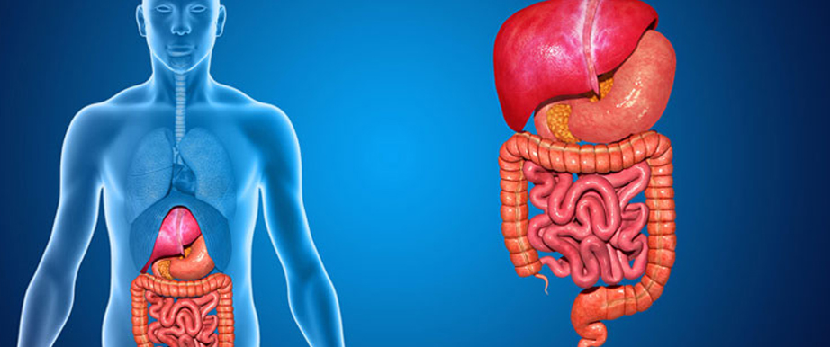Best Hospital Gastroenterology in Ghatkopar
